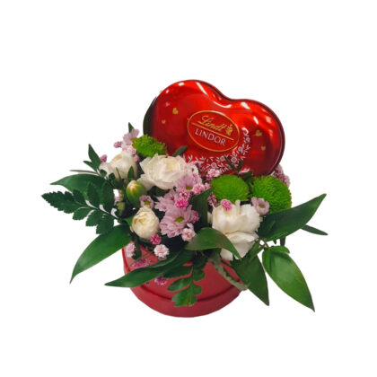 Box W rytmie cza-cza