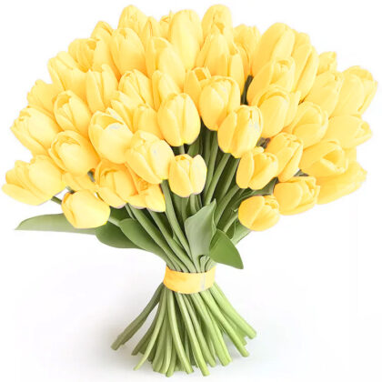 Tulipany - wybierz od 10 do 500 tulipanów