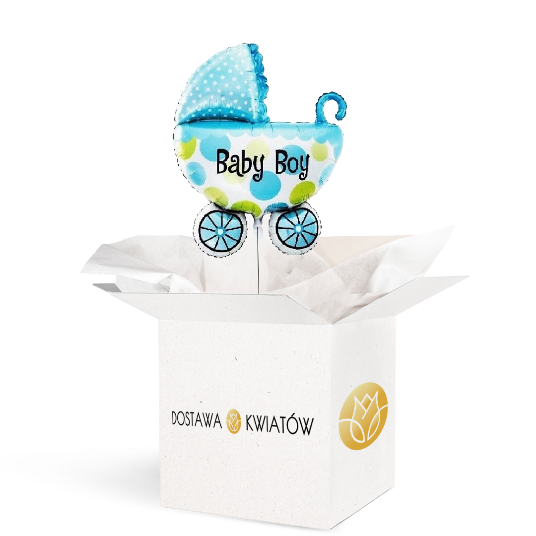 Wózek Baby Boy